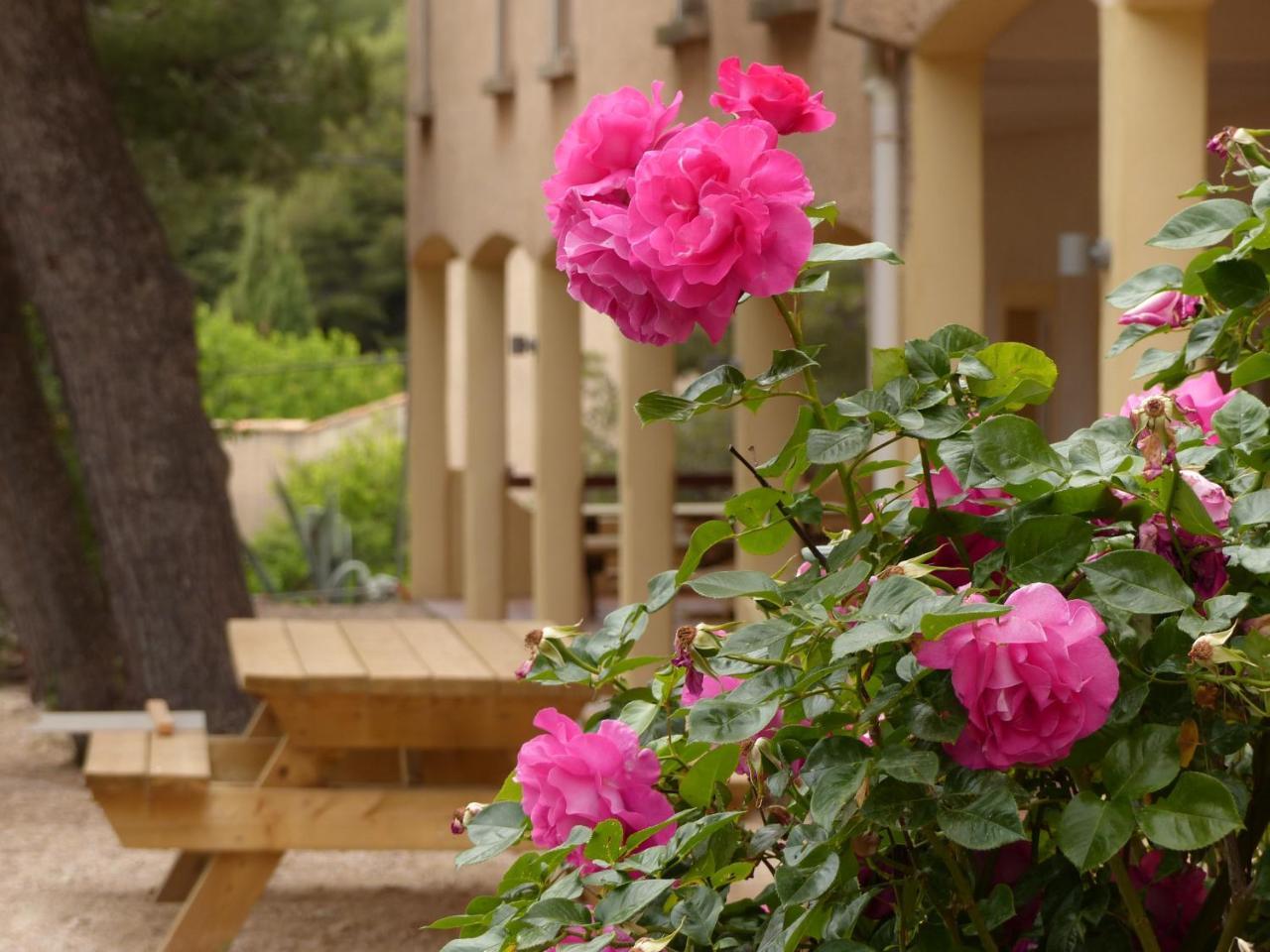 Appartements Des Joncas Martigues Exterior foto
